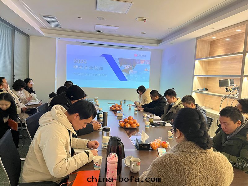 武漢雅龍建築裝(zhuāng)飾工程有(yǒu)限公(gōng)司