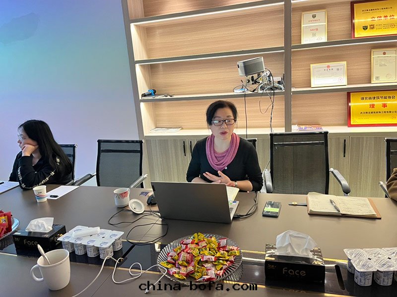 武漢雅龍建築裝(zhuāng)飾工程有(yǒu)限公(gōng)司